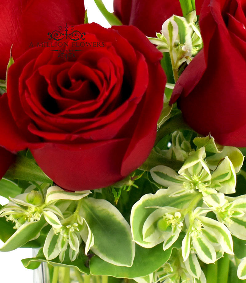Arreglo elegante rosas rojas - Florería A Million Flowers