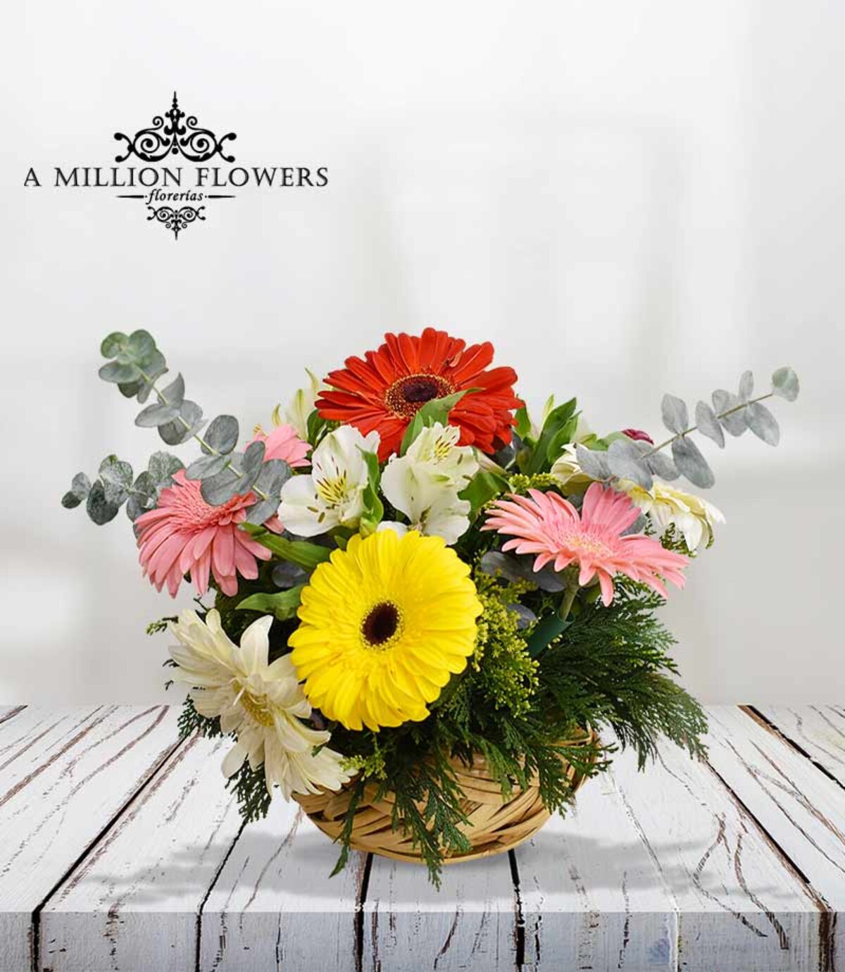 Diseños Florales Gerberas - Florería A Million Flowers