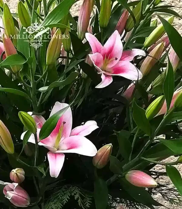 arreglo-floral-esplendor-lilis