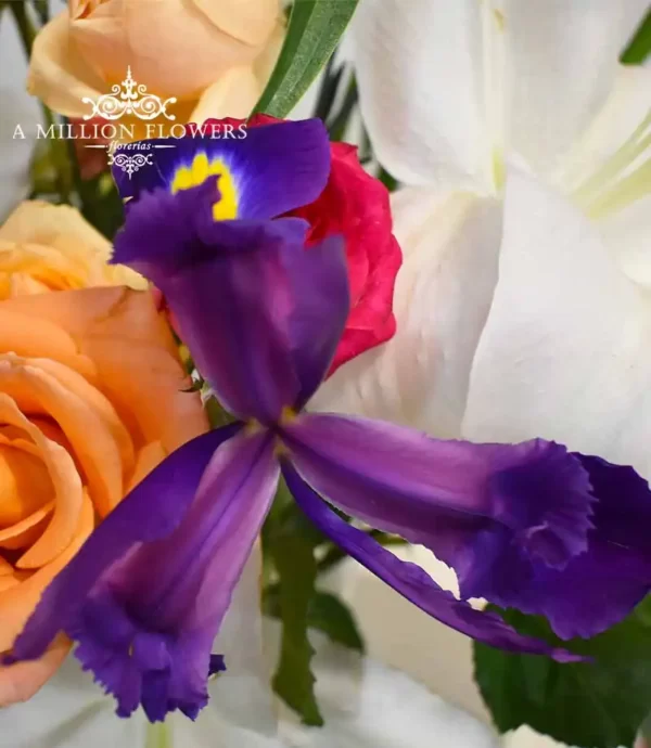 arreglo-floral-inmensidad-iris