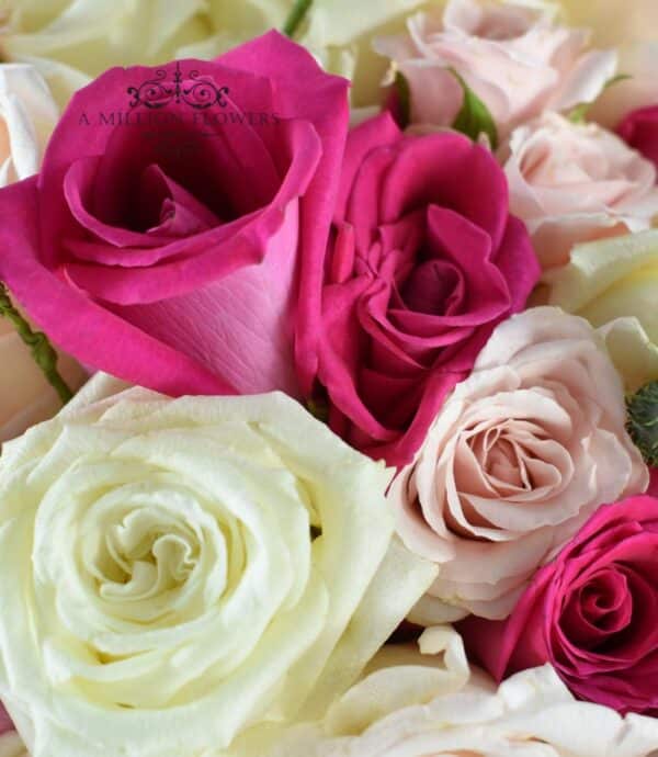 ramo-sublime-de-rosas-inglesas-rosas